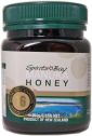 Manuka Honey Molan Gold Standard Active Spirits Bay