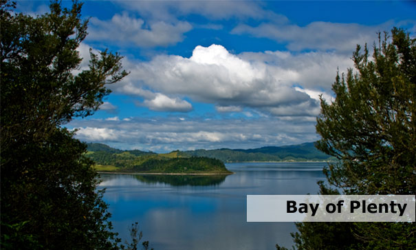 bayofplenty bayofplenty