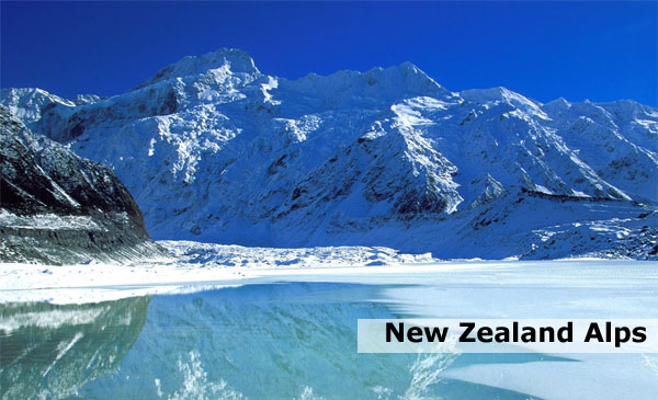 nzalps nzalps